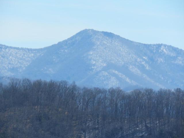 Serenity Views Comfort - Close To City & Parkway! Weaverville Экстерьер фото