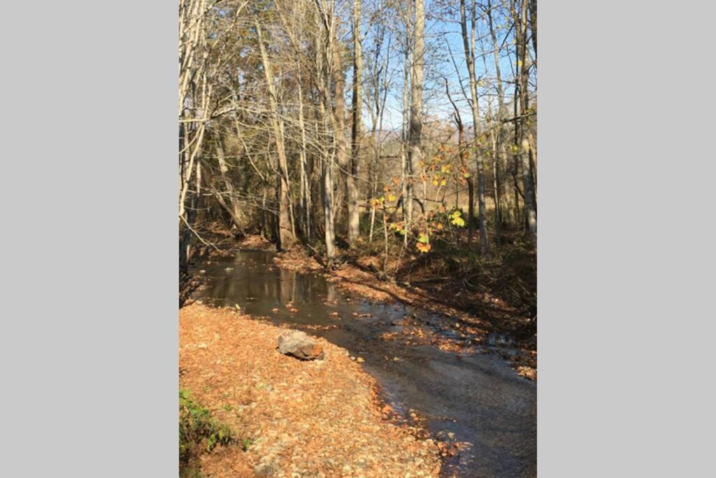 Serenity Views Comfort - Close To City & Parkway! Weaverville Экстерьер фото
